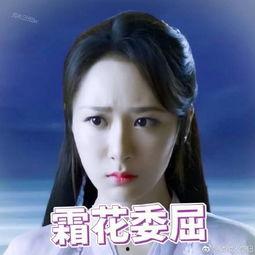 杨紫爆料润玉视频大全,独家视频大公开